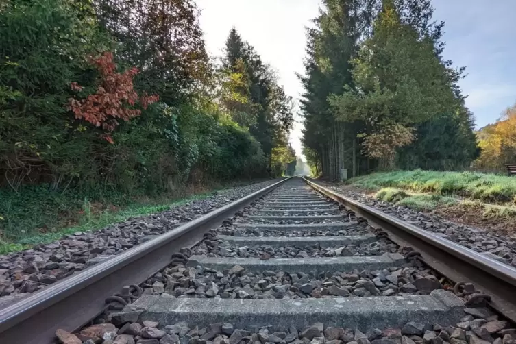 Leere Gleise: Ein Anblick, an den sich Bahnkunden auf der Lautertalstrecke leider schon gewöhnt haben. 