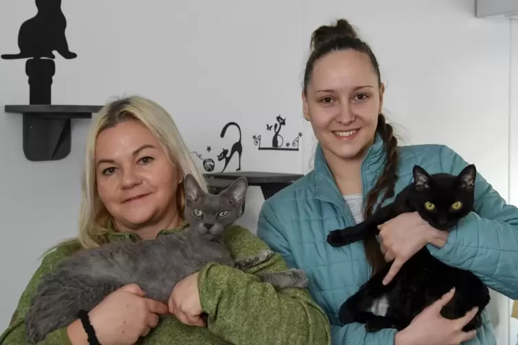 Wünschen sich ein Zuhause für sich und die Katzen: die Ukrainerinnen Shisana und Daryna mit Mickey und Cash. 