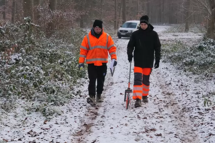 Mitte Dezember 2022: zwei Mitarbeiter des Ibes-Baugrundinstituts aus Neustadt auf zu untersuchenden Wegen im Speyerer Stadtwald.