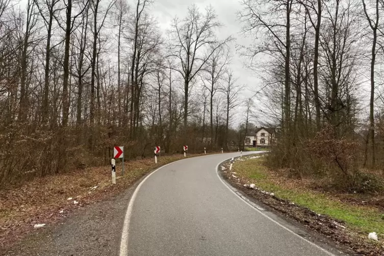 Sicherheitsrisiko: Kurz vor Bienwaldm&uuml;hle soll der Radweg unterbrochen werden. Weil der Radweg links verl&auml;uft, m&uuml;ssen die Radler