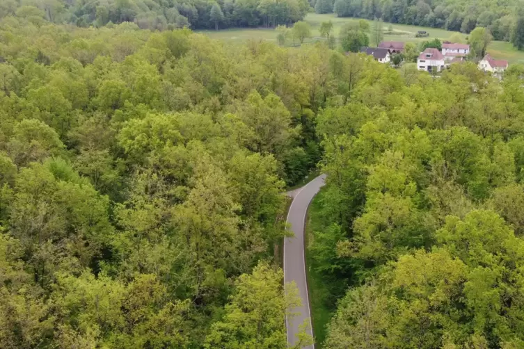 Die L 545 kurz vor Bienwaldm&uuml;hle.