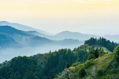 Atemberaubende Bilder: Das Biosphärengebiet im Südschwarzwald