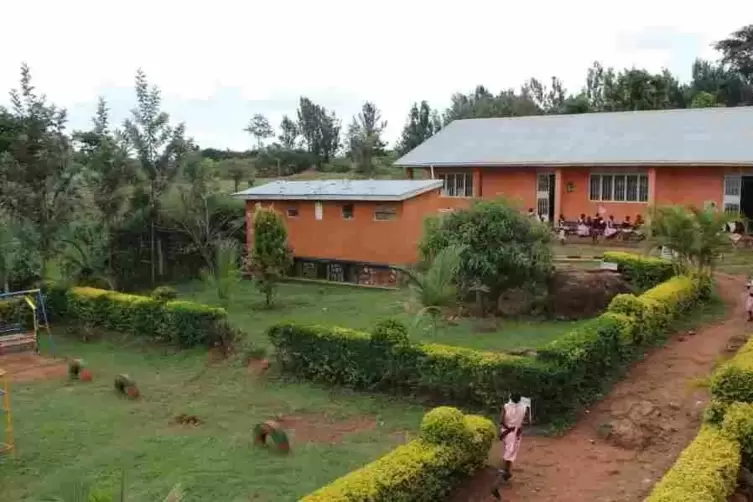Das aufgefangene Regenwasser wirkt Wunder. Die vom G&auml;rtner gepflanzten Gew&auml;chse wachsen und sind gr&uuml;n. 