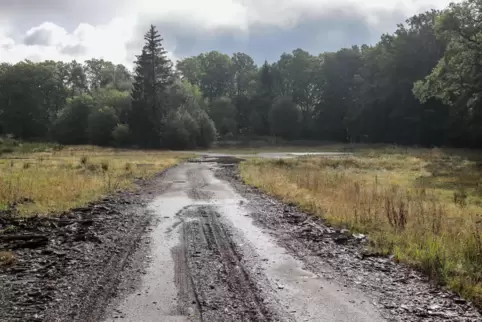 Immer noch gibt es auf dem ehemaligen Militärgelände Langerkopf eine kilometerlange Straße.