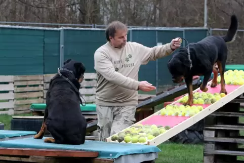 „Vertrauen-Respekt-Geborgenheit-Sicherheit“ sind die Grundpfeiler der Philosophie des Hundetrainers Dieter Paul.