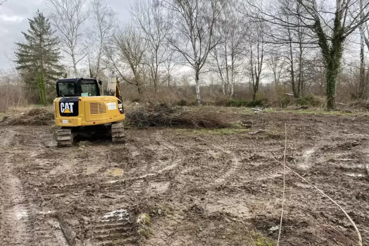 Ger&auml;umtes Gel&auml;nde: So weit wie auf diesem Grundst&uuml;ck ist der R&uuml;ckbau nicht &uuml;berall im ehemaligen Campinggebiet fortgeschritten. 
