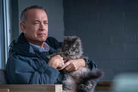 Wird auch unfreiwillig zum Katzenhalter: der kleinkarierte Griesgram Otto (Tom Hanks). 