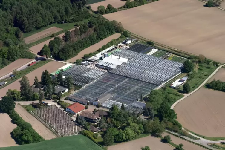 Rund 15.000 Quadratmeter Produktionsfläche gibt es am Stammsitz in Hagenbach. 