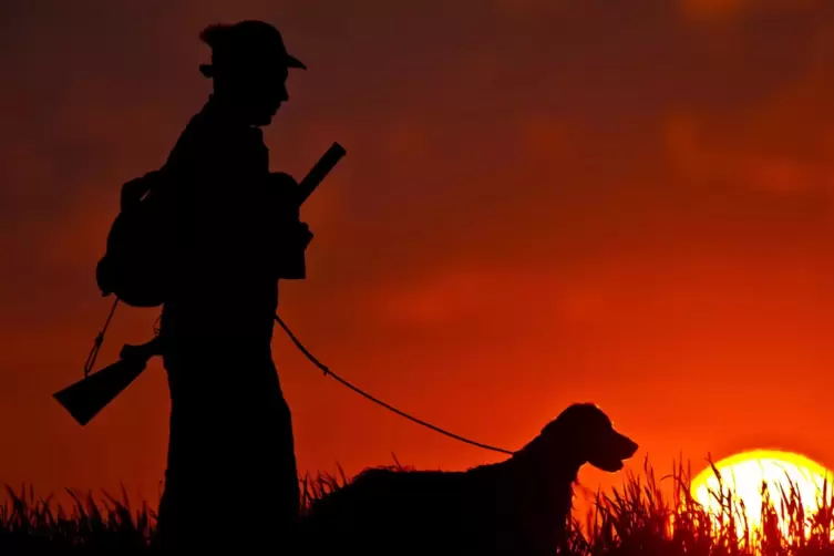 Moderne und zeitgemäße Jagd sei ohne den Einsatz von Hunden weder tierschutzgerecht noch möglich, betont der Jagdverband. 