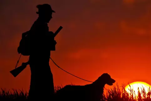 Moderne und zeitgemäße Jagd sei ohne den Einsatz von Hunden weder tierschutzgerecht noch möglich, betont der Jagdverband. 