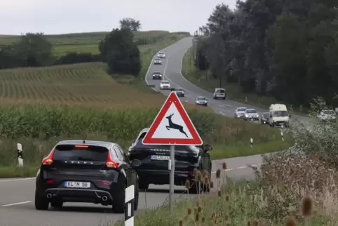 Die B38 in Höhe des Wertstoffwirtschaftszentrum in Ingenheim.