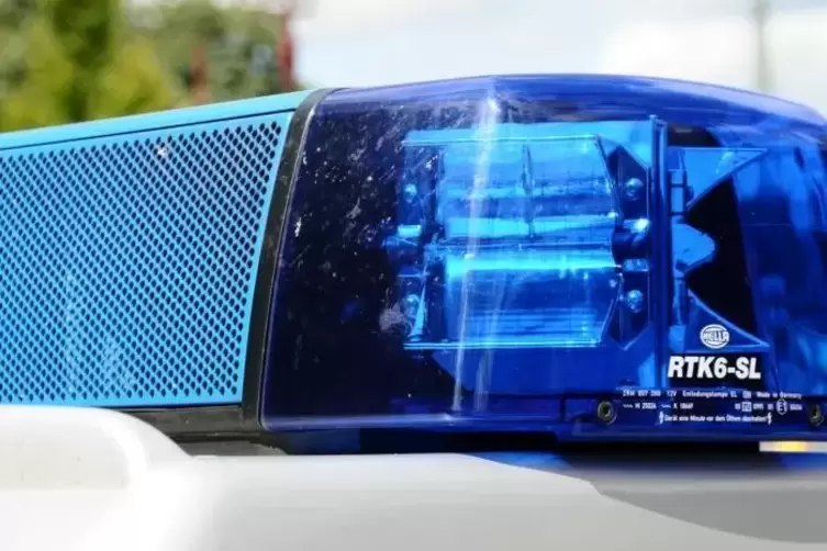 blaulicht_polizei_polizeiauto_foto_merkel (9)