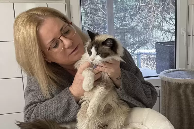Kein Einzellfall: Katja Günther, Vorsitzende des Tierschutzvereins Stubentiger in Not in Trippstadt, kümmert sich um Katze Fee, 
