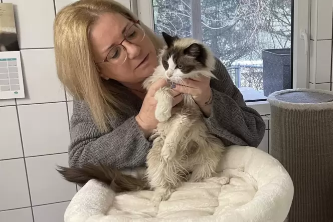 Kein Einzellfall: Katja Günther, Vorsitzende des Tierschutzvereins Stubentiger in Not in Trippstadt, kümmert sich um Katze Fee,