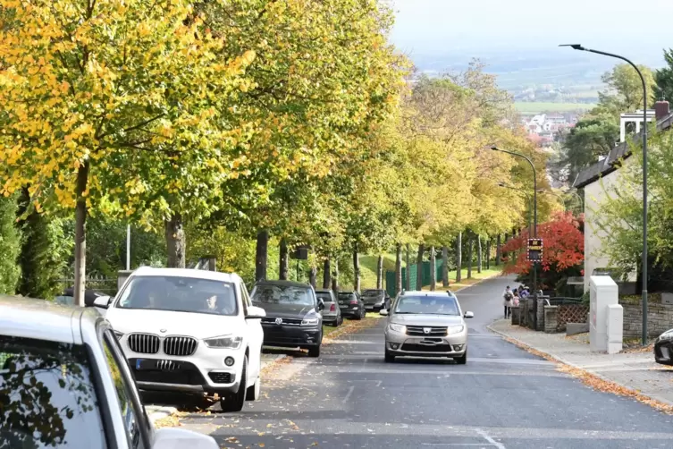 Die Karl-R&auml;der-Allee in Seebach. 