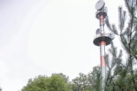 Der Sendemast auf dem Langerkopf soll das einzige herausragende Bauwerk in dem Waldgebiet bleiben, fordert der BUND.