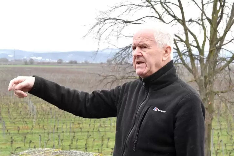 Der Gutsherr in Erzählpose: Heinrich Vollmer, der im Mai 75 wird, auf dem kleinen Türmchen seines Weinguts in Ellerstadt im Krei