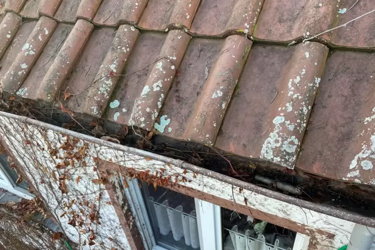Auch wenn Dach oder Rinne reparaturbedürftig sind, sollte man auf Haustürgeschäfte besser verzichten. Betrüger bieten ihre Diens