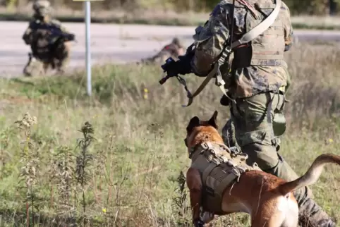 Bei den Fallschirmjägern steht ein Bewerberverfahren für Diensthundeführer an. 