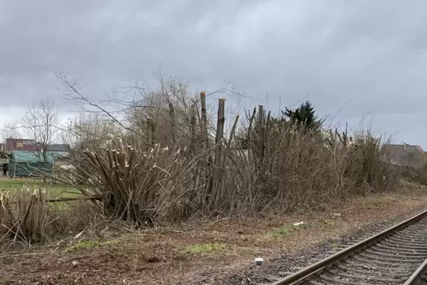 Fachkräfte hätten die Arbeiten ausgeführt, sagt die Bahn