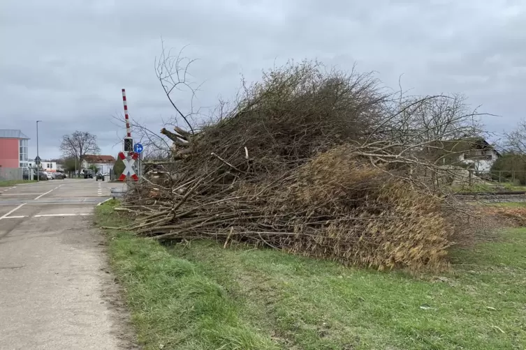 Meterhoch stapeln sich &Auml;ste und Str&auml;ucher.