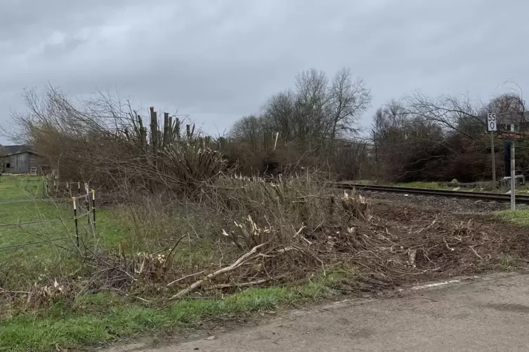 Laut Bahn muss die Vegetation zur&uuml;ckgeschnitten werdne, um neue Kabel verlegen zu k&ouml;nnenn.