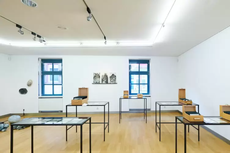 Arbeiten von Catherine Sanke. 