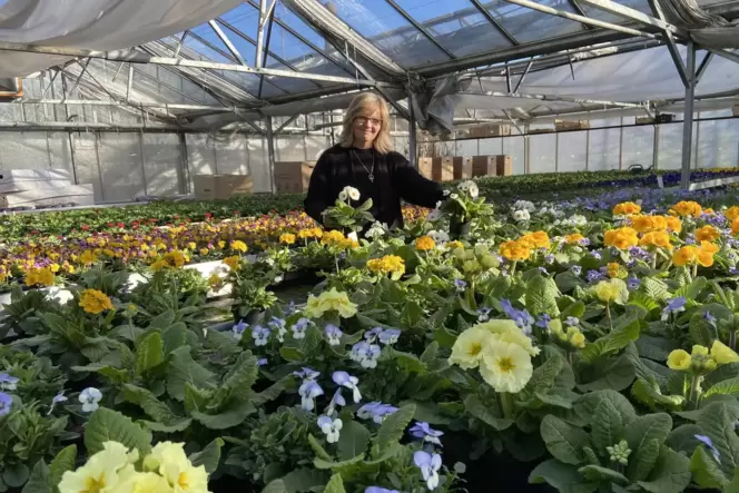 Rote Rosen gibt es bei Floristin Andrea Bracco am Valentinstag auch. Aber sie setzt mehr auf zartes Rosa oder andere Frühlingsfa