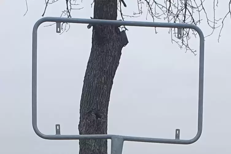 ... und Ellerstadt haben sie &bdquo;nur&ldquo; die Schilder mitgenommen. 