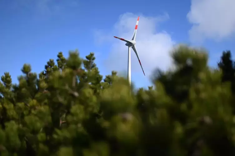 Umstritten: Windenergieanlagen im Wald.