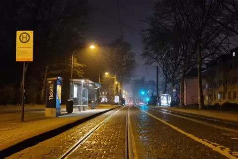 Im abendlichen Dämmerlicht: von Bäumen gesäumte Frankenthaler Straße an der Haltestelle Hauptfriedhof. 