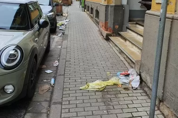 Gelbe Säcke gehen oft kaputt. Dann vermüllen Wertstoffe Straßen und Natur. 