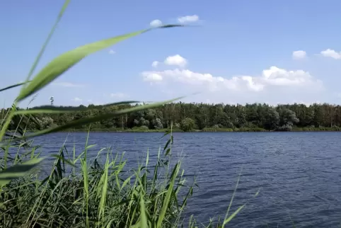 Hundebesitzer sollten am Nachtweiher Vorsicht walten lassen. 