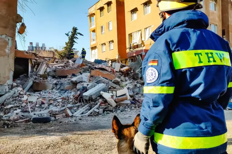 Mit Hunden wurde in den Trümmern nach Überlebenden gesucht. 