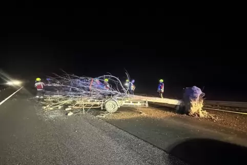 Dieser Baum lag quer auf einer Fahbahn der A61.