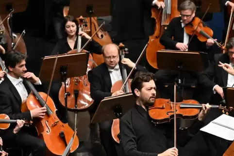  Im Zentrum Solist Lawrence Power an der Viola, rechts Dirigent Michael Nesterowicz.