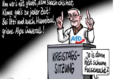 afd2 kopie