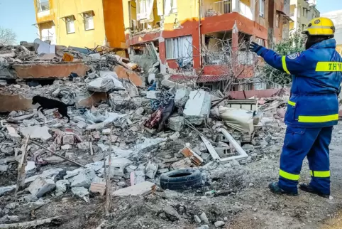 Suche mit Hund: Das Einsatzteam des THW hilft im türkischen Erdbebengebiet beim Bergen von Verschütteten in den Gebäudetrümmern.