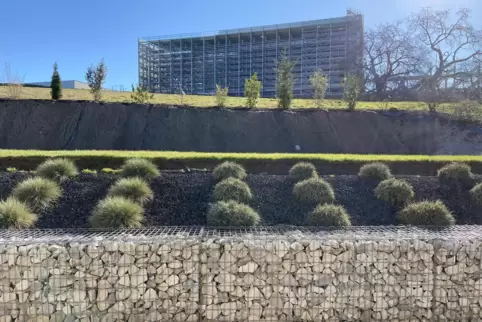 Das Progroupwerk bestimmt den Horizontblick von der Terrasse eines Petersbergers.