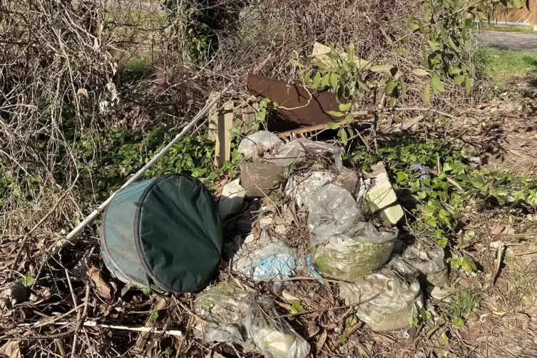 Im Gestr&uuml;pp gibt es viele wilde M&uuml;llablagerungen. 
