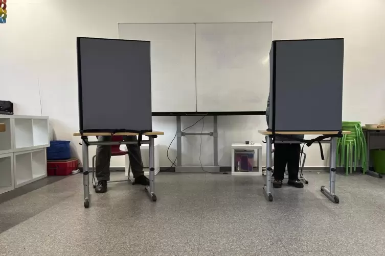 FDP und AfD fordern die Bürger auf zur Wahl zu gehen. 