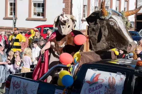 „Mer lossen heit de Bless mol los“ – der KV Bruchweiler-Bärenbach mit seinem traditionellen Rindvieh.