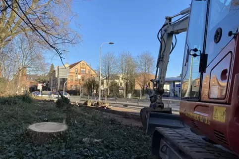 Um Platz für einen 2,50 Meter breiten Radweg am Rand des Goetheparks zu schaffen, sind Bäume gefällt worden. 