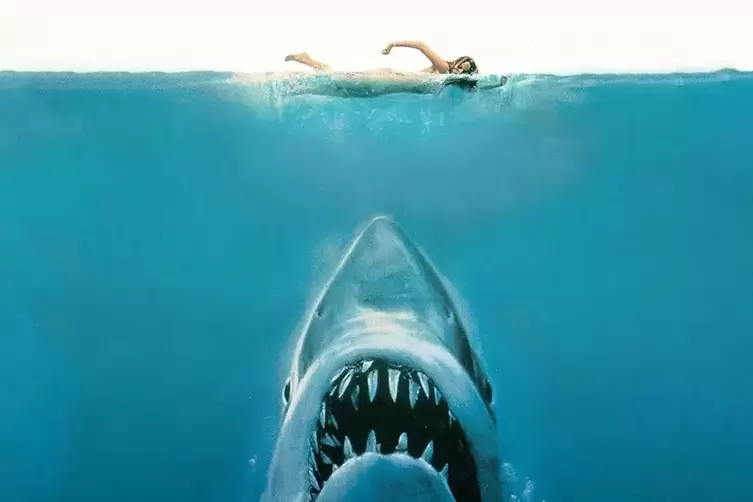 Der Weiße Kino-Hai brachte ihn erst zur Filmerei.