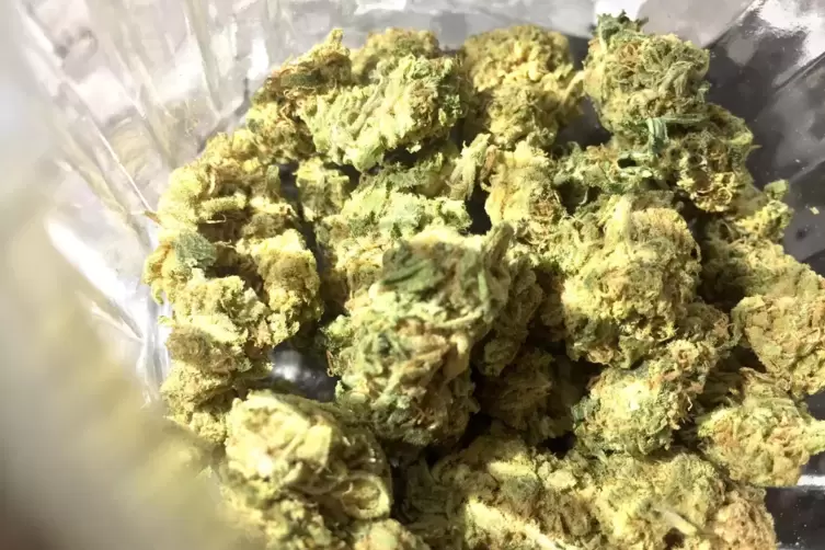 Das Cannabis, dasin der Wohnung des Aangeklagten gefunden wurde, war sowohl für seinen eigenen Bedarf als auch für den Verkauf g