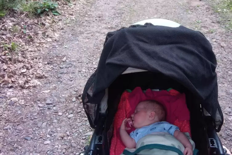 Sicher und bequem sollte das Kind im Outdoor-Kinderwagen liegen. 