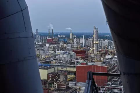 Blick über das Stammwerk in Ludwigshafen. 