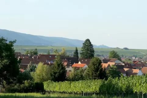 Arzheim bekommt ein Neubaugebiet am südlichen Ortsrand. 