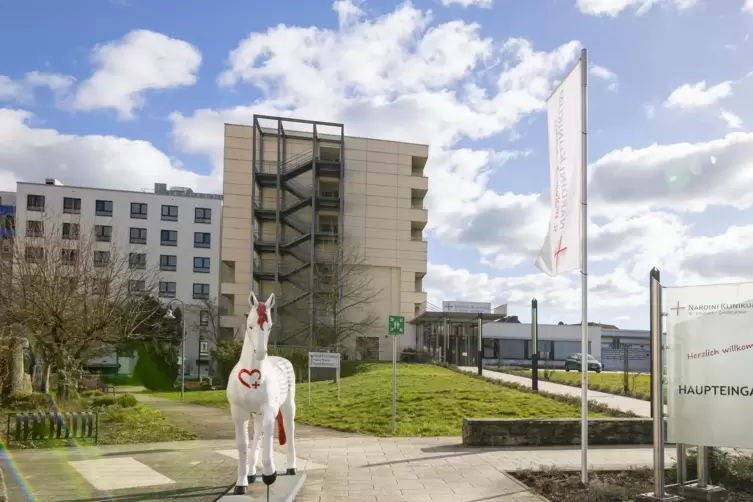 Das Nardini-Klinikum ist seit 2016 das einzige Krankenhaus in Zweibrücken.