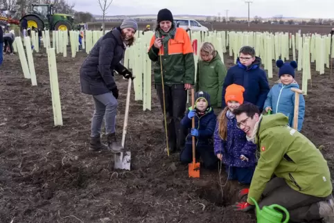 In den Dörrwiesen bei Gerolsheim soll ein Miniwald entstehen. Freiwillige helfen beim Pflanzen unter Anleitung von (von links) S